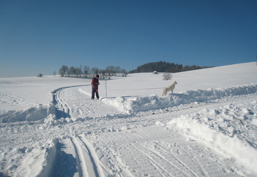 Sektion Ski-Nordisch